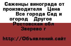 Саженцы винограда от производителя › Цена ­ 800 - Все города Сад и огород » Другое   . Ростовская обл.,Зверево г.